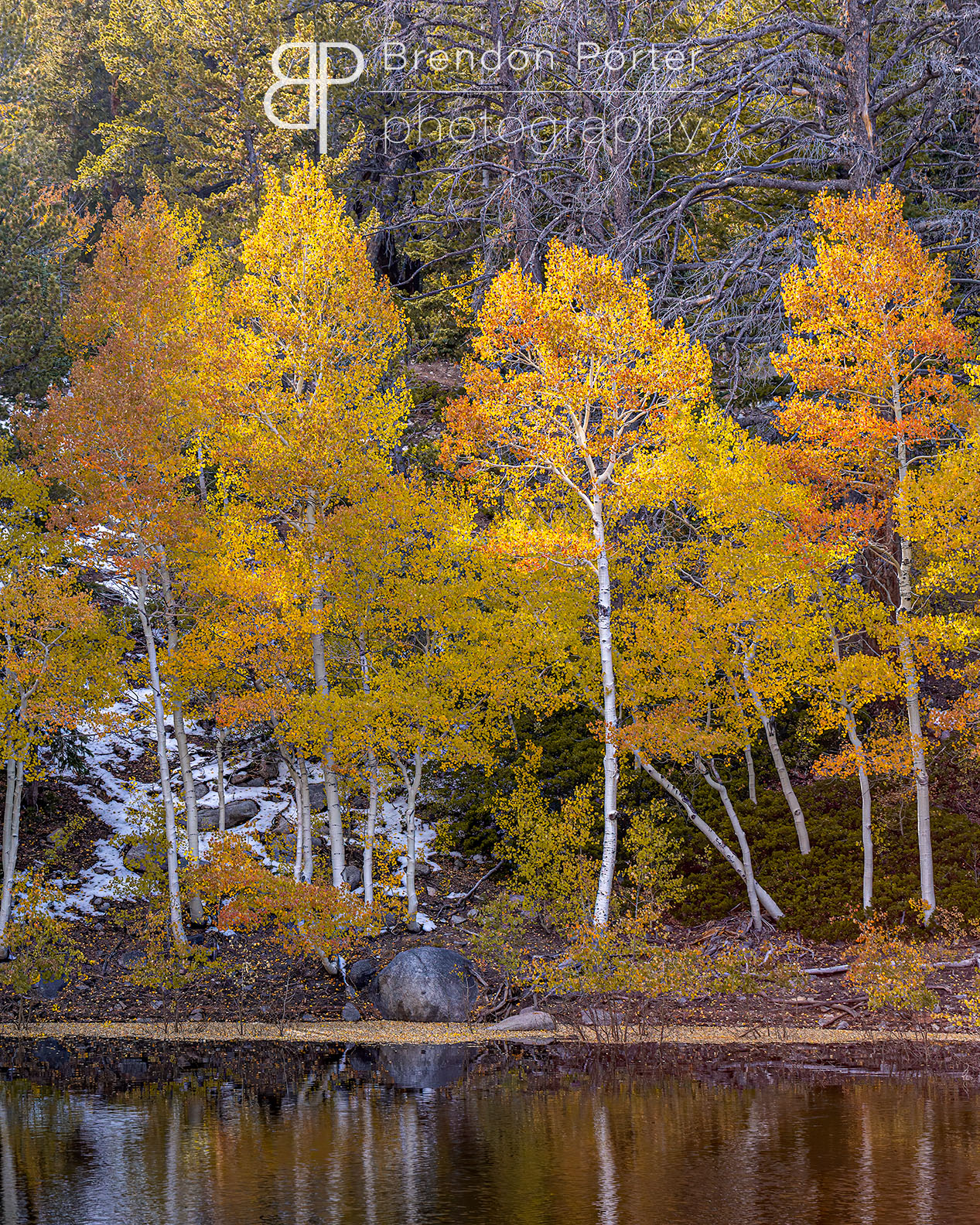 Autumn in the Mountains